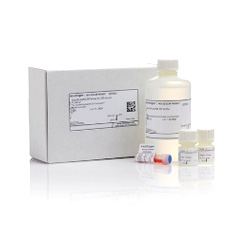 Invitrogen Q32852 Qubit™ RNA HS Assay Kit现货促销 